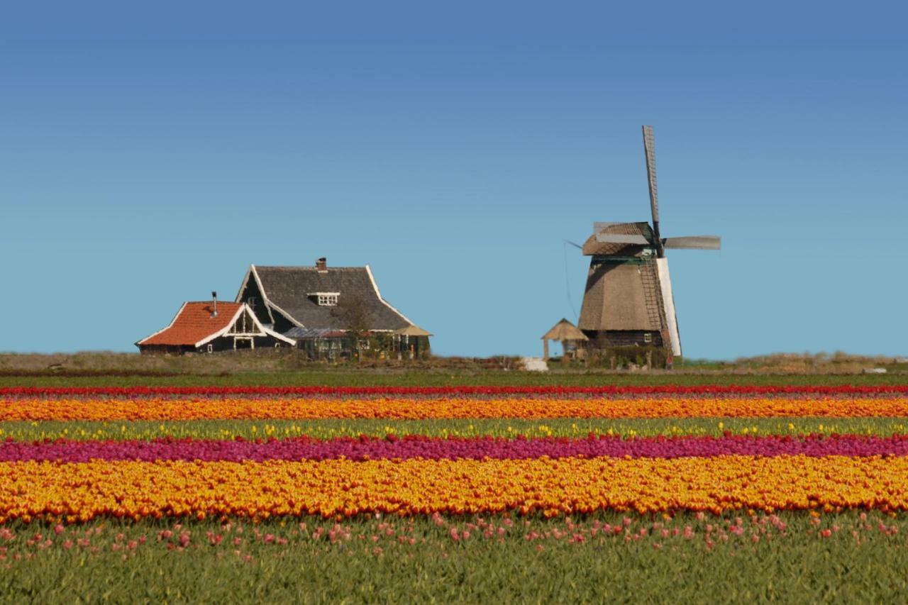 Het Dobbertje, charmant houten huisje Sint Maartensvlotbrug Buitenkant foto